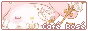 Café Rosé ♡